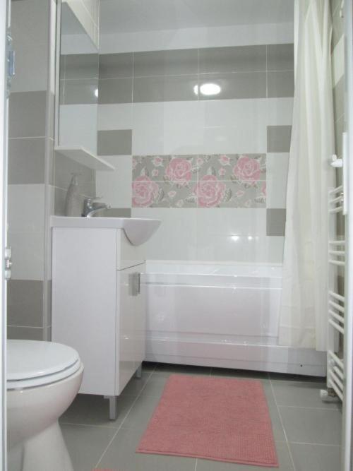 Apartament Sarra ทาร์โกวิชเต ภายนอก รูปภาพ